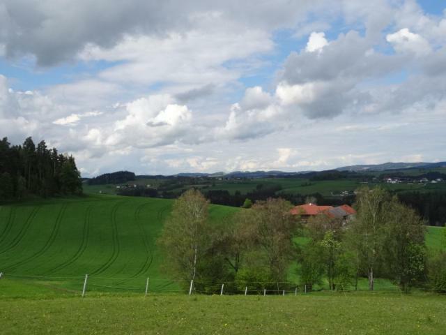 Desl'S Little Farm Apartment Waldburg Exterior photo